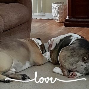 Meet your Posher, Renee